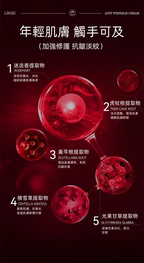 零姿美白祛斑抗皺霜 面部淡紋補水保濕 用這一罐就夠了！縮短美白週期 源頭卓效淡斑 - 27