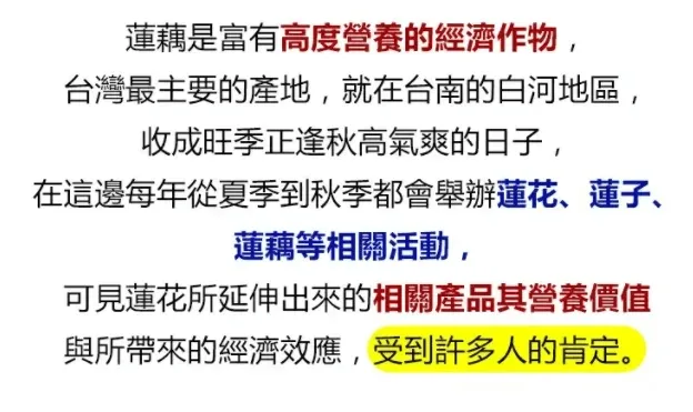 【降價大促】奇亞籽堅果藕粉羹(500克/罐),為回饋新老客戶,原價990元1罐,今日下單再送1罐! 您沒看錯,現價只需【990元/2罐,1180元/3罐,1380元/4罐】! 台灣包郵,貨到再付款! - 6