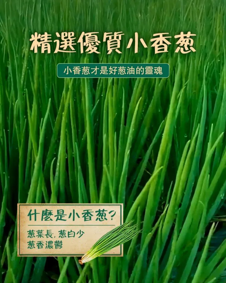 【蔥油拌麵醬|開罐秒變總鋪師】 🔥 宜蘭三星蔥黃金比例 → 蔥香濃度提升300% 👨🍳 30年老師傅手炒工藝 → 每罐翻炒1280次 - 7