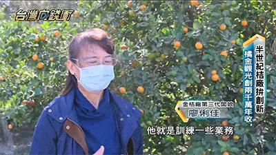 宜蘭最後一批上市!錯過等明年!【宜蘭有機甘草金桔· 福利大放送】😋清嚥!利嗓!潤肺❗ ✅精選優質金桔、甘草、自然曬乾,保留營養! 潤肺止咳👉健脾和胃👉清熱解毒👉理氣安神肉質細膩柔軟,吃完滿口的金桔香和果肉甜,還有甜脆軟爽的果肉纖維 - 4